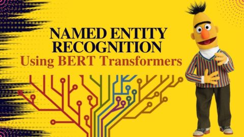 Named Entity Recognition Using BERT Transformers-@ai.studio