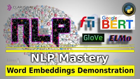 How to Demonstrate Word Embeddings in NLP | Fasttext, Bert, GloVe and ELMo || Clarusway