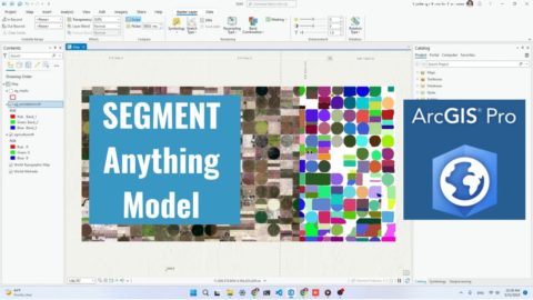 Using the Segment Anything Model with ArcGIS Pro