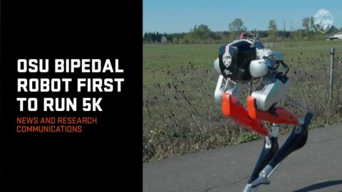 OSU Bipedal Robot First to Run 5K